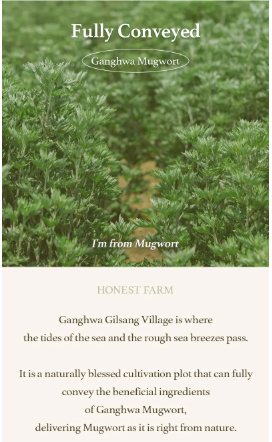 I'm from - Mugwort Sheet Mask - Maschera Viso Idratante all’Artemisia