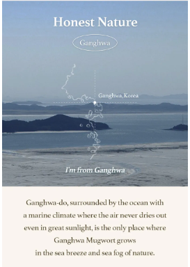 I'm from - Mugwort Sheet Mask - Maschera Viso Idratante all’Artemisia