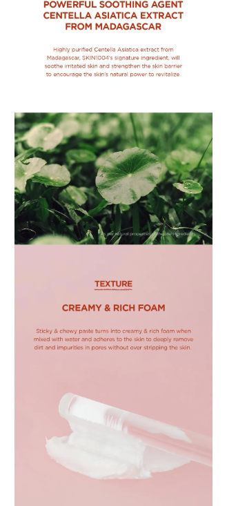 SKIN 1004 - Madagascar Centella Poremizing Deep Cleansing Foam