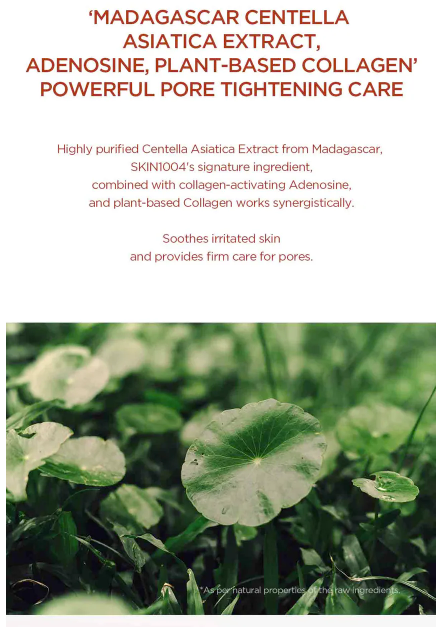 SKIN 1004 - Madagascar Centella Poremizing Clarifying Mask - Maschera in Tessuto