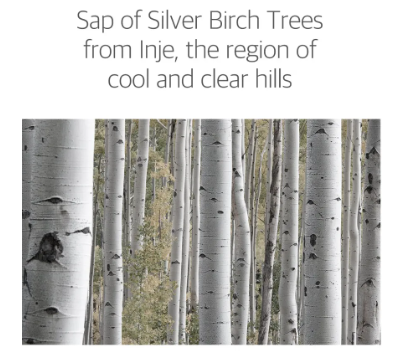 ROUND LAB - Birch Juice Moisturizing Crema - Crema Solare Idratante