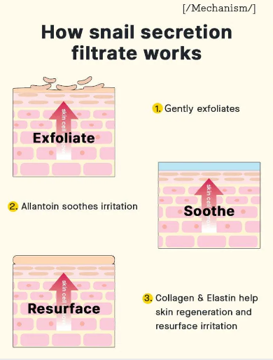 COSRX - Advanced Snail 92 All In One Cream Tube - Crema Viso Versione Tubetto