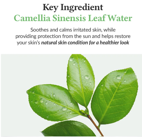 Dr. Althea - Green Tea Fresh Sunscreen