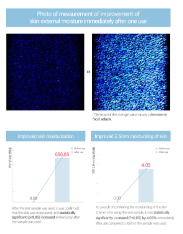ROUND LAB - 1025 Dokdo Hydrating Water Gel Mask - Maschera Viso