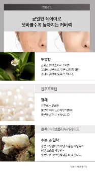 TIRTIR - Mask Fit Crystal Mesh Cushion SPF50+ - Fondo tinta cushion