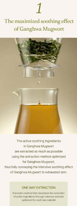 I'm from - Mugwort Sheet Mask - Maschera Viso Idratante all’Artemisia