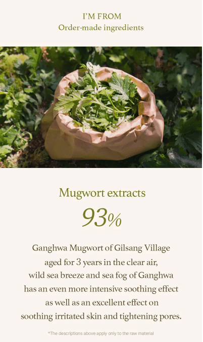 I'm from - Mugwort Sheet Mask - Maschera Viso Idratante all’Artemisia