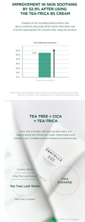 SKIN 1004 - Madagascar Centella Tea-Trica B5 Cream - Crema Viso Multifunzione