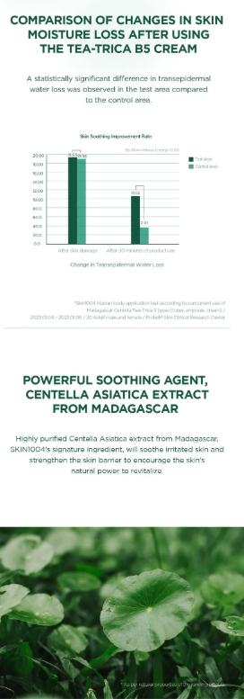 SKIN 1004 - Madagascar Centella Tea-Trica B5 Cream - Crema Viso Multifunzione