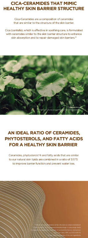 SKIN 1004 - Madagascar Centella Probio-Cica Enrich Cream - Crema Viso Idratante