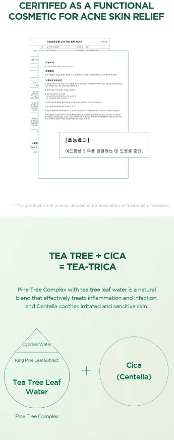 SKIN 1004 - Madagascar Centella Tea-trica BHA Foam - Mousse Detergente Viso