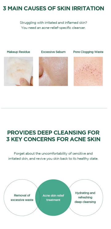 SKIN 1004 - Madagascar Centella Tea-trica BHA Foam - Mousse Detergente Viso