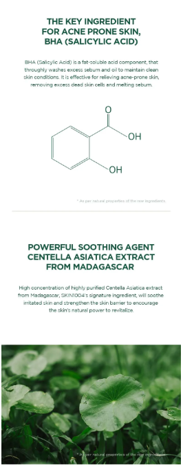 SKIN 1004 - Madagascar Centella Tea-trica BHA Foam - Mousse Detergente Viso
