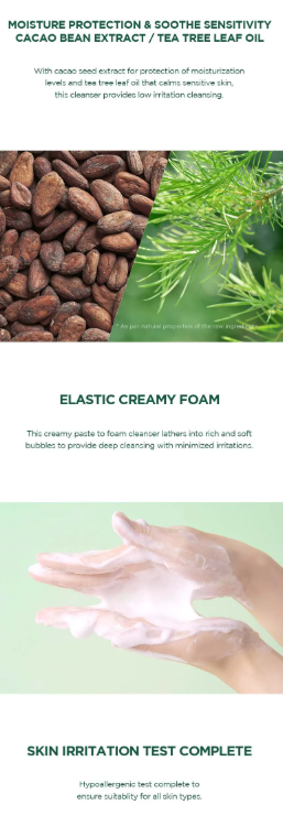 SKIN 1004 - Madagascar Centella Tea-trica BHA Foam - Mousse Detergente Viso