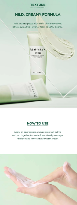 SKIN 1004 - Madagascar Centella Tea-trica BHA Foam - Mousse Detergente Viso