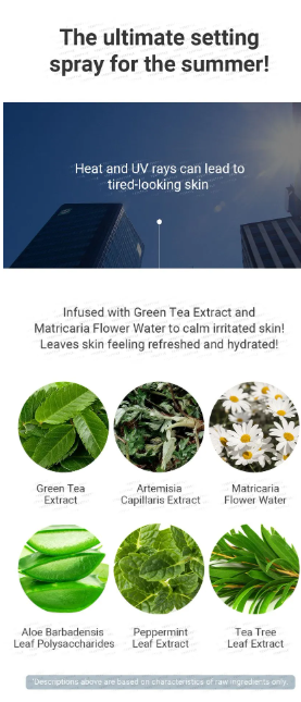 NEOGEN - Dermalogy All Day Locking Fixer