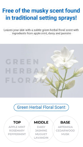 NEOGEN - Dermalogy All Day Locking Fixer