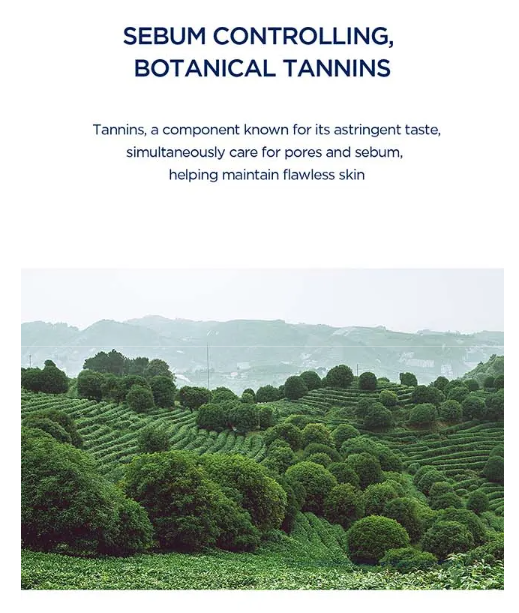 SKIN 1004 - Madagascar Centella Hyalu-Cica Silky-Fit - Stick Solare